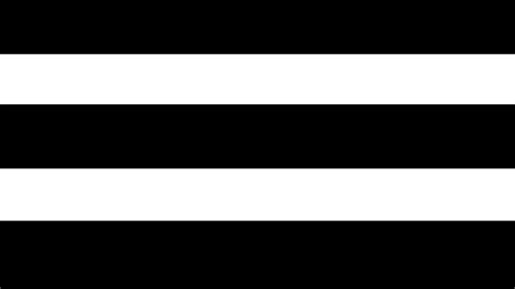 Straight pride is a slogan that arose in the late 1980s and early 1990s that has primarily been used by social conservatives as a political stance and strategy. Pixilart - Straight Flag! by FurryBiscut | Straight flag ...