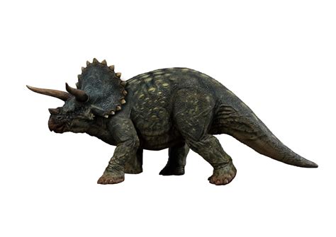 Jurassic World Triceratops Render 7 By Tsilvadino On Deviantart