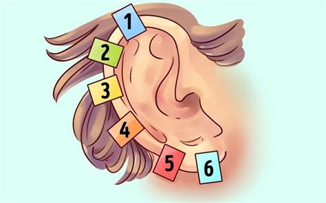 Reflexology Of The Ear Ear Reflexology Health Tips Health