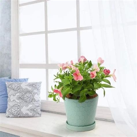 26 Awesome Indoor Windowsill Flower Garden Ideas