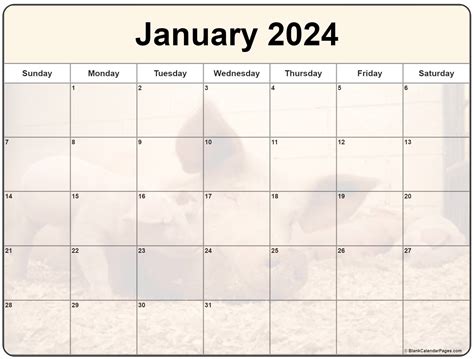 Collection Of January 2024 Photo Calendars With Image Filters