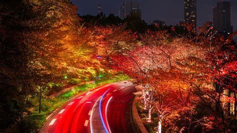 1920x1080 Japan Tokyo Roads Autumn Trees Night Laptop Full