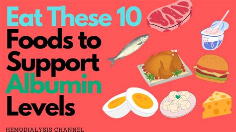 Eat This 10 Foods To Support Albumin Levels Youtube