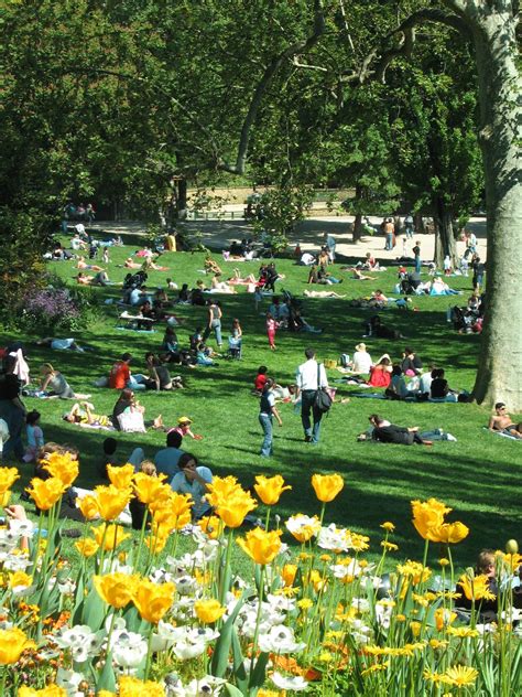 Photos, address, and phone number, opening hours, photos, and user reviews on yandex.maps. Parc des Buttes Chaumont Garden | Sloped garden, Landscape ...