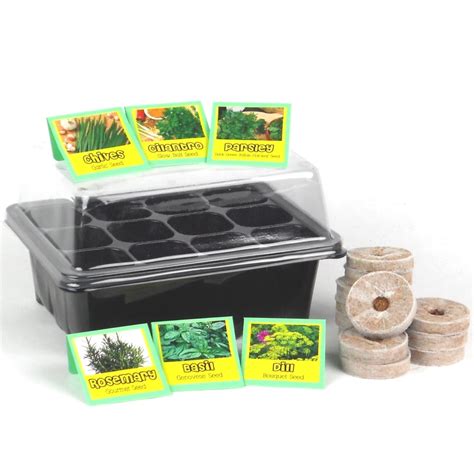 Kitchen Herb Garden Seed Starter Kit