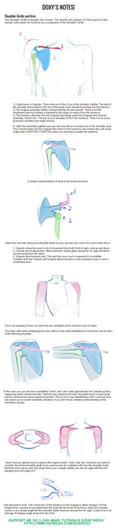 Z Armpit By Mldoxy Tutorial Anatomy Reference Anatomy Tutorial