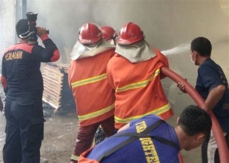 Pabrik pembuatan triplek ada di jawa timur, jawa tegah, jawa barat, pulau sumatera, kalimantan, maluku sampai irian. Penyebab Kebakaran di Pabrik Plywood Donorojo - Pacitanku.com