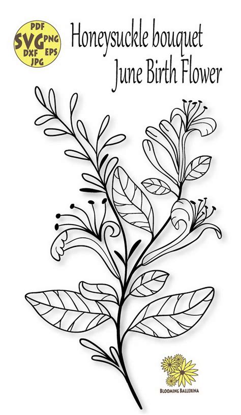 the honeysuck bouquet by june birth flower is shown in black and white