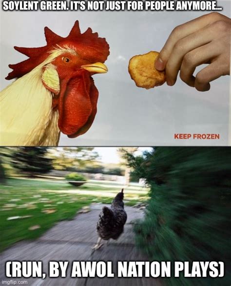 Image Tagged In Running Chicken Imgflip