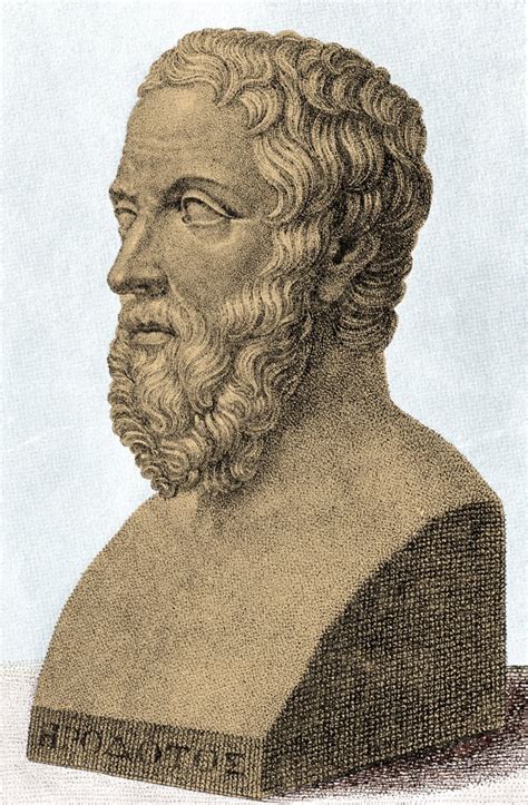 Herodotus Ancient Greek Historian Father Of History Poster Print By