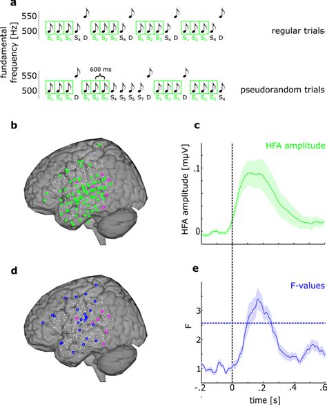 Stimulus Response And Repetition Suppression Show Different Spatial Download Scientific Diagram