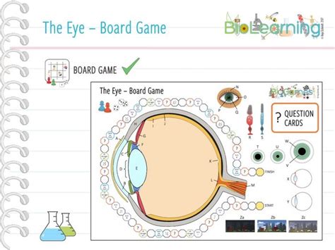 The Eye Board Game Ks3ks4 Teaching Resources