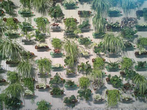 Pet flaschen dienen für viele bastelarbeiten als kreativer und vielseitiger rohstoff. Vertical Garden - Vertikaler Garten aus PET Flaschen ...