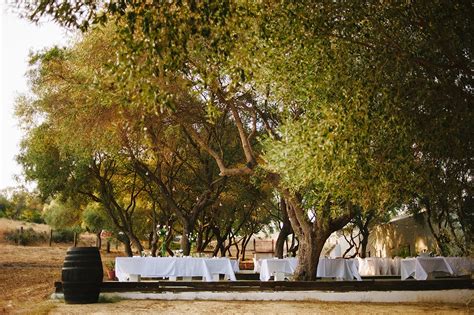 Catering y Restaurante Los Olivos: Galeria Catering