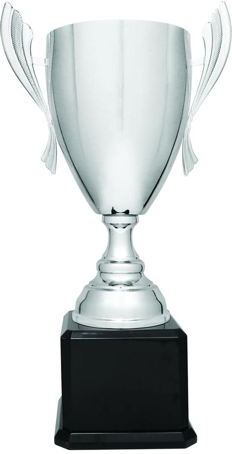 Shop And Personalize Metal Cup Silver Trophy Award 930 Series At Dell