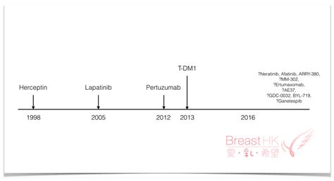 Her2 Development Breast Cancer Hk 香港的乳癌治療資訊