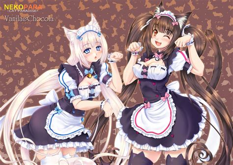 Wallpaper Anime Girls Neko Para Vanilla Neko Para Chocolat Neko