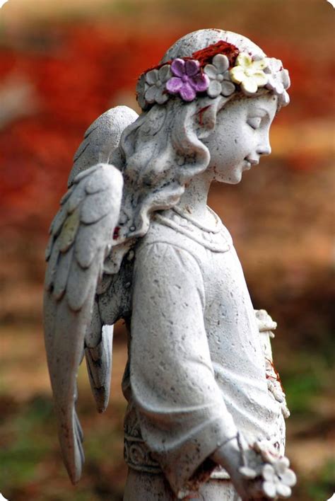 An Angel In The Garden Backyards Click