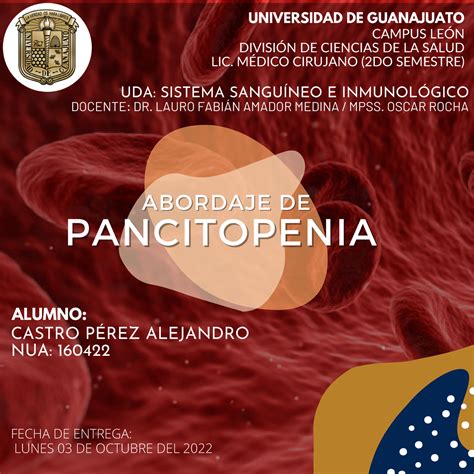 Pancitopenia Abordajes De Anemias Aplasicas Hematología