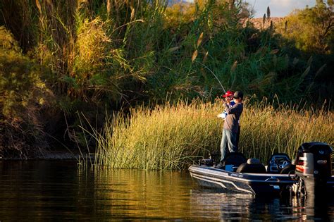 Lake Havasu Might Be One Of Arizonas Best Kept Bass Fishing Secrets Teeming With Bass And