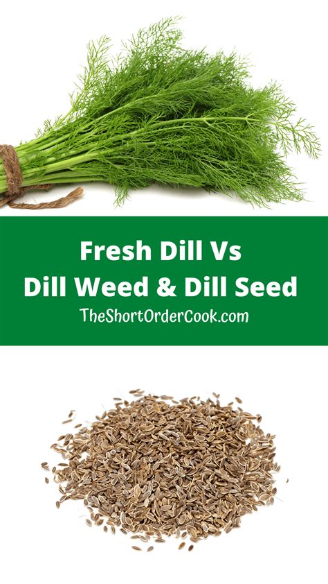 Fresh Dill Vs Dill Weed Dill Seed The Short Order Cook