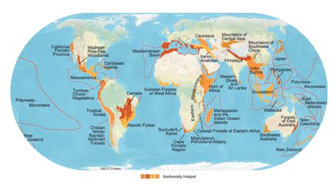 Biodiversity Hotspots In Conservation Ocean Tracks