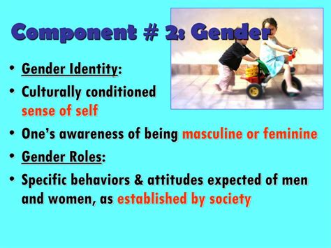 Ppt Social Stratification Sex And Gender Powerpoint Presentation Id