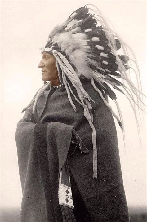 Indian Chief Native American Cherokee Native American Indians