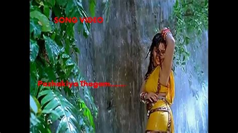 Tamil Serial Actress Aishwarya Bhaskaran Song Namepazhakiya Thogam Moviekizhakku
