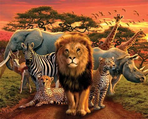 Wild Animals In Africa African Kingdom Mini Poster