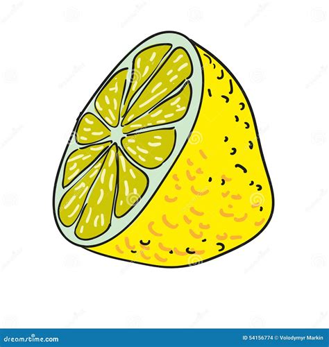 Lemon Hand Drawn Fruits Isolated Vector Stock Vector Illustration Of