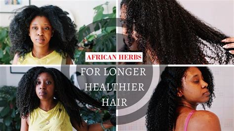 5 African Herbs For Hair Growth Remedies That Really Work