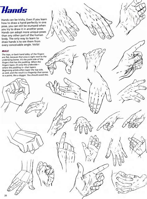 Hand Positions Drawing At Getdrawings Free Download