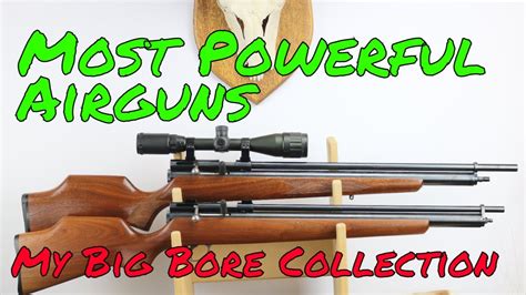 The Most Powerful Airgun Is In My Big Bore Airgun Collection Youtube