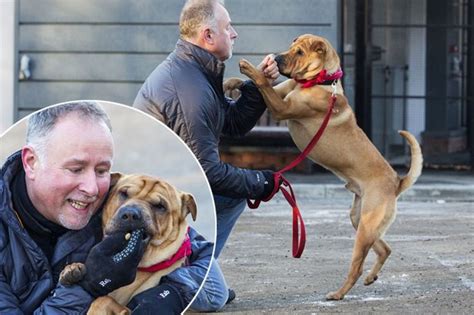 Dog Abandoned At Railway Station With His Suitcase Has Finally Found A