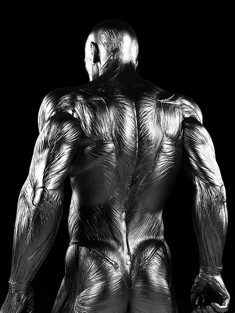 Human Back Muscles Photograph By Sebastian Kaulitzki Pixels