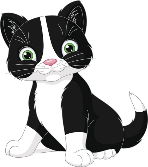 Kartun Kucing Hitam Putih Fondos De Pantalla Kucing Kartun