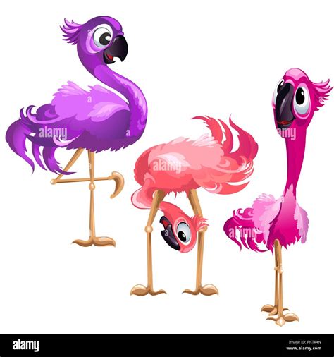 Three Funny Flamingo Isolated On White Background Vector Cartoon Close