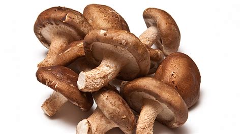 Propiedades De Los Hongos Shiitake Para La Salud Y El Cuerpo