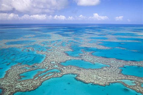 The Great Barrier Reef On The Brink New Scientist