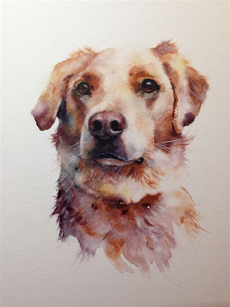 Cross Breed Dog Painting As A Commission By Watercolour Artist Jane