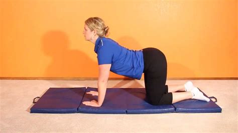 Choose your plan, follow visual workouts, track your progress. Cat Camel Spine Stretch HD - YouTube