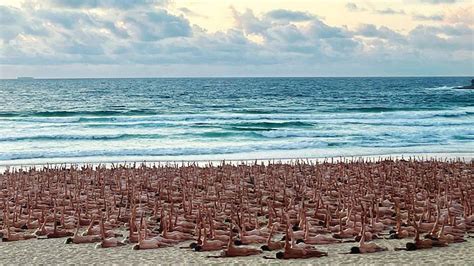 Bondi Who Is Spencer Tunick Bondi Beach Welcomes 2 500 Naked People