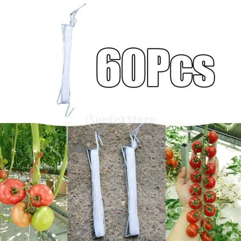60pcs Double Tomato Hooks With Twine For Tomato Clips Plant Clips