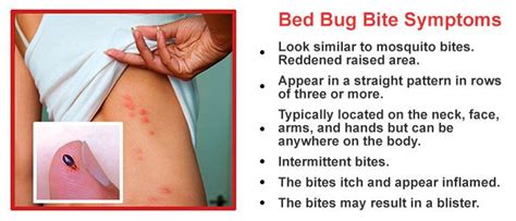 Fleas bite on the lower body, so if you see bites on your upper body, they could be because of bed bugs. Got Bed Bugs in Your Home? Learn How to Make Bed Bug Traps Now
