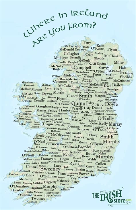 Popular Irish Surnames Their Origin And Coat Of Arms The Irish Store