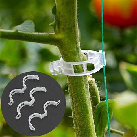 100x Plastic Plant Support Clips For Vegetable Hanging Trellis Vine