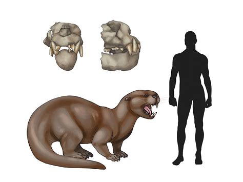 In Images Field Guide Showcases Bizarre And Magnificent Prehistoric