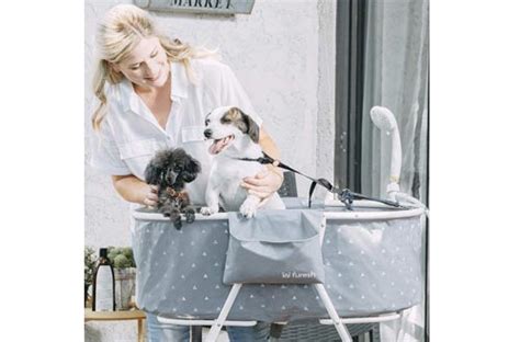 The Best Portable Pet Dog Bath Tubs For Home