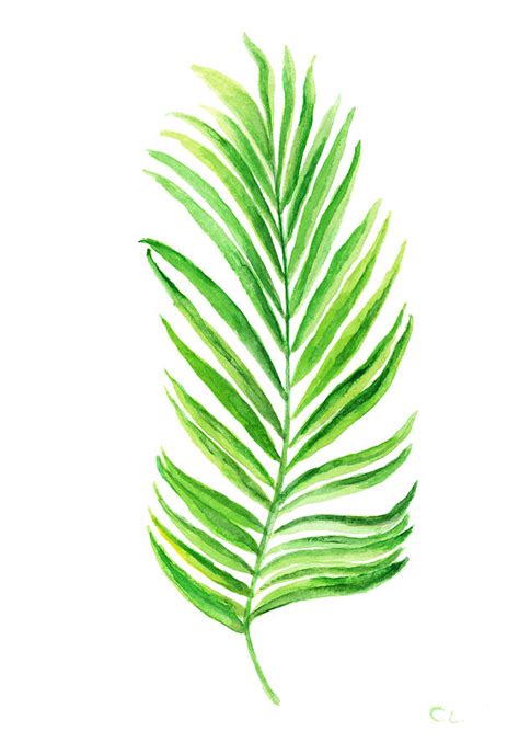 Palm Leaves Printable